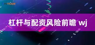 杠杆与配资风险前瞻 wj